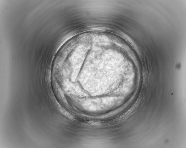 X0000093591194200711121117
