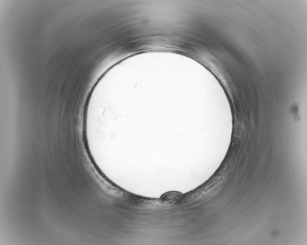 X0000093591195200711121117