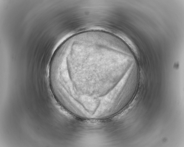X0000093591198200711121117