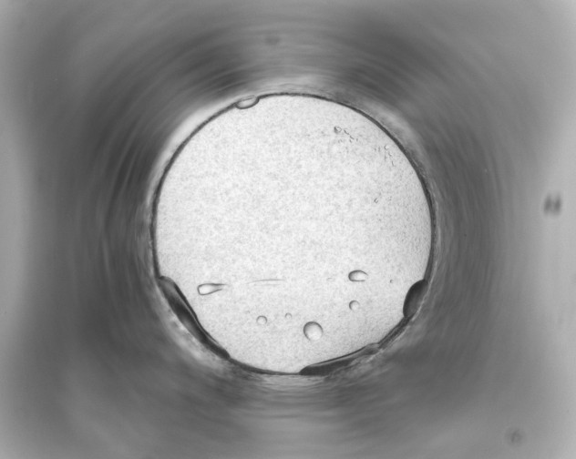 X0000093591200200711121117