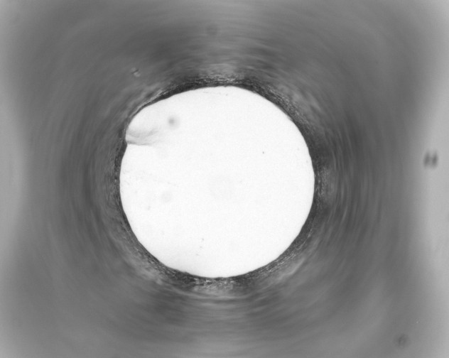 X0000093591201200711121116