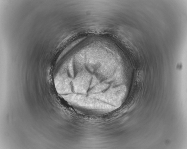 X0000093591202200711121116
