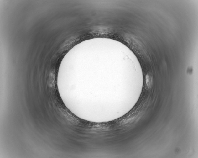 X0000093591203200711121116