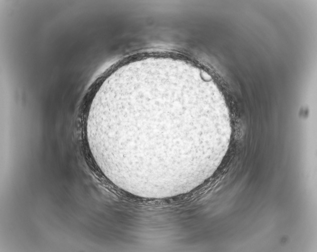X0000093591208200711121116