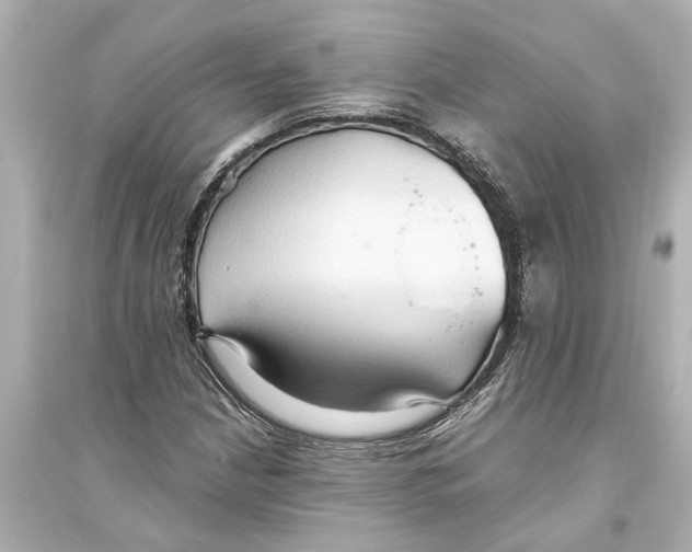 X0000093591210200711121116