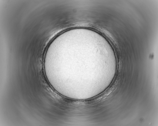 X0000093591212200711121116