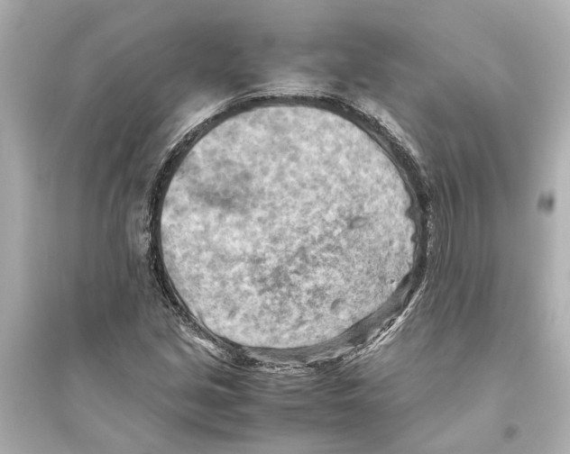 X0000093591213200711121116