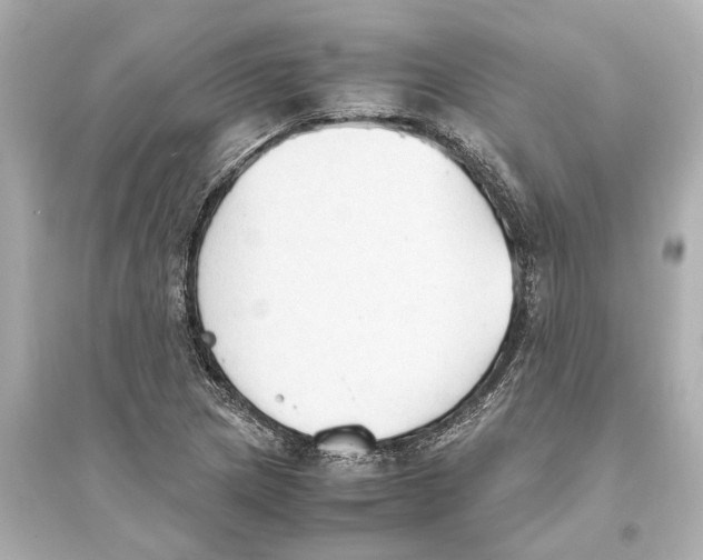 X0000093591217200711121117