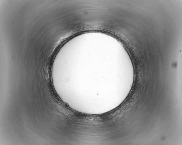 X0000093591218200711121117