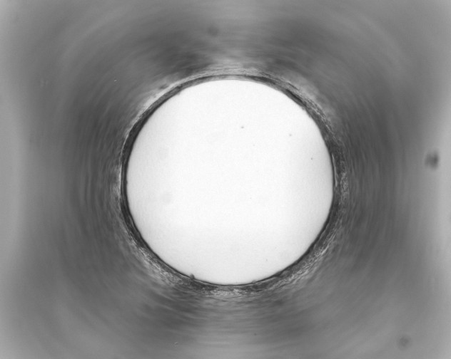 X0000093591220200711121117