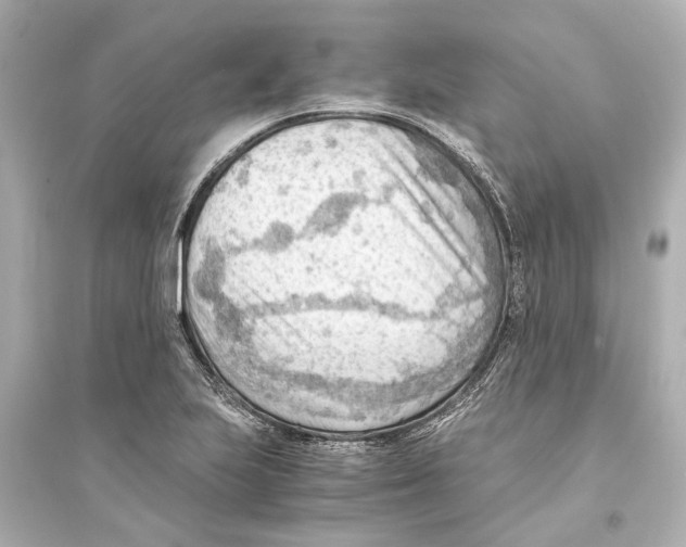 X0000093591223200711121117