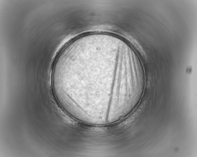 X0000093591224200711121117