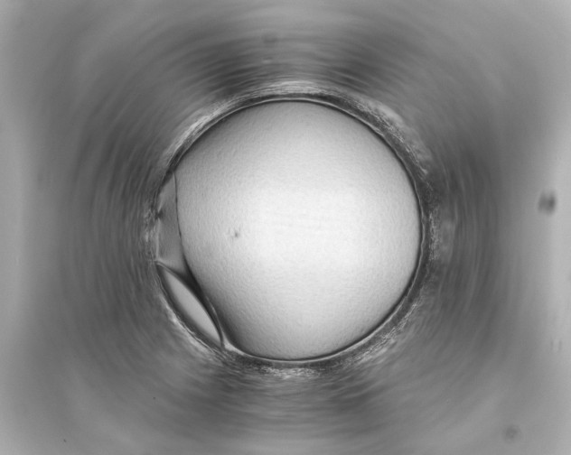 X0000093591225200711121117