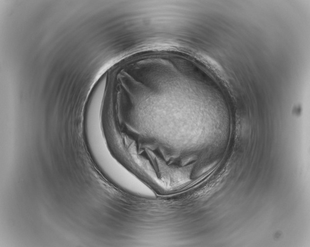 X0000093591226200711121117