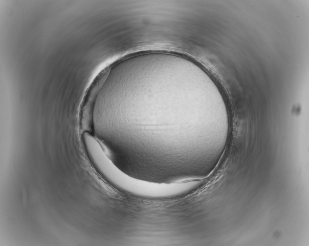 X0000093591230200711121117
