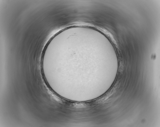 X0000093591231200711121117