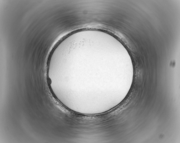 X0000093591232200711121117
