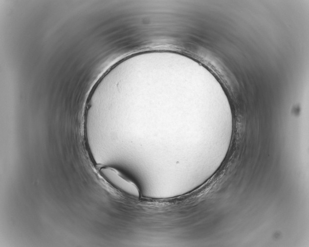 X0000093591236200711121117