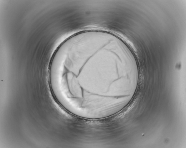 X0000093591239200711121117