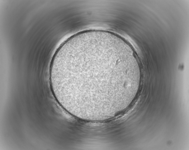 X0000093591240200711121117