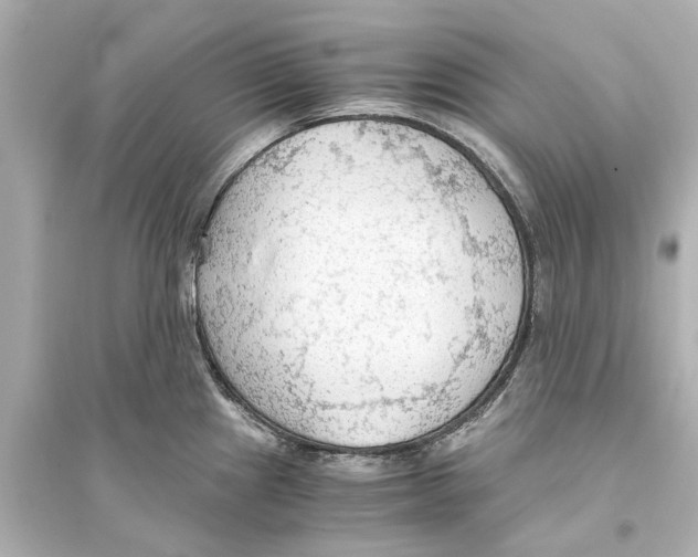 X0000093591241200711121117