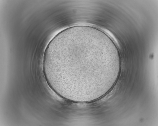 X0000093591244200711121117