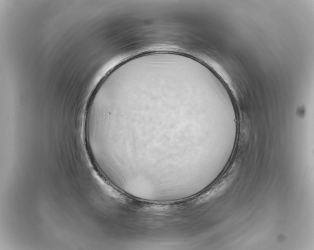 X0000093591245200711121117