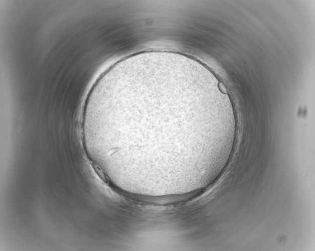 X0000093591248200711121117