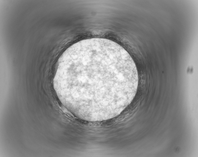 X0000093591249200711121116