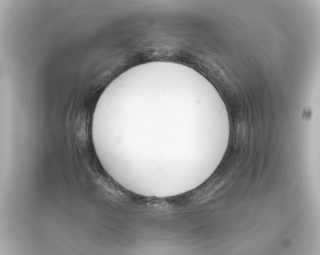 X0000093591250200711121116