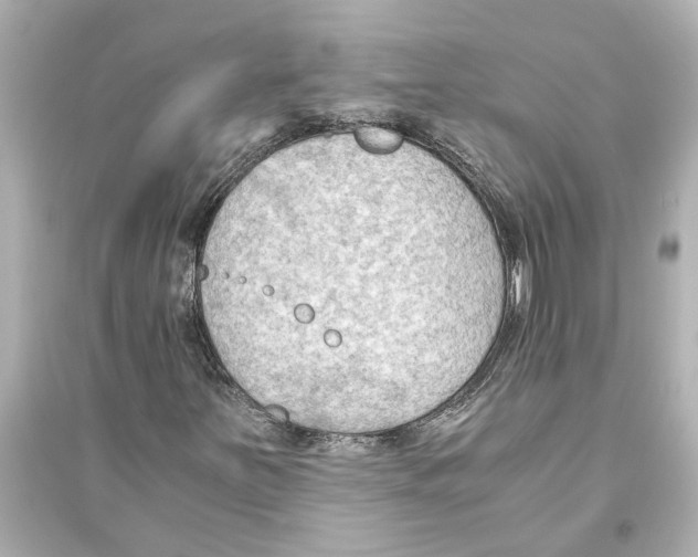 X0000093591251200711121116
