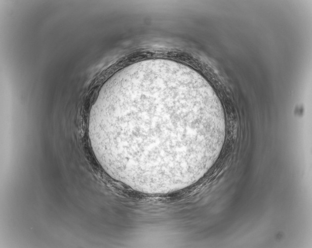 X0000093591253200711121116