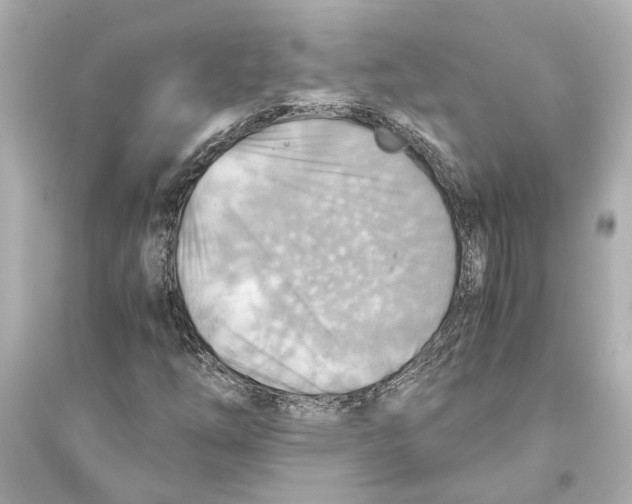 X0000093591254200711121116