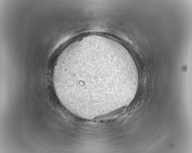 X0000093591255200711121116