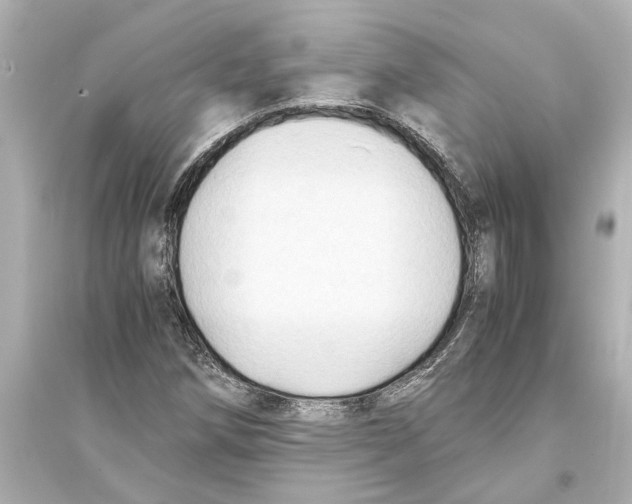 X0000093591258200711121116
