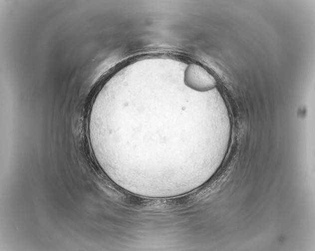 X0000093591259200711121116