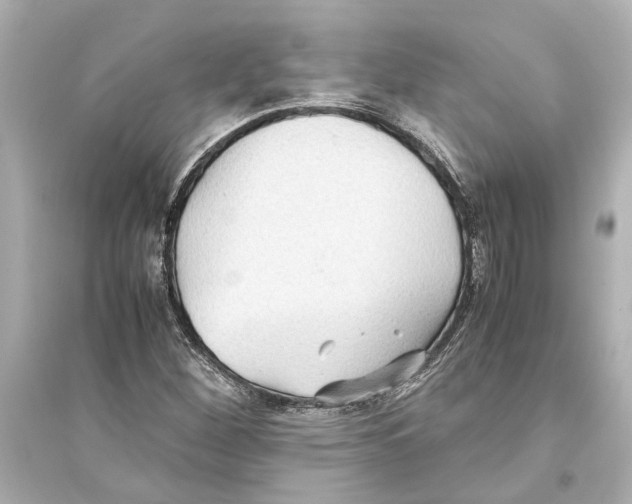 X0000093591260200711121116