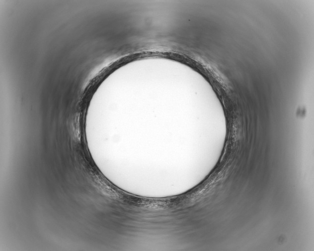 X0000093591262200711121116
