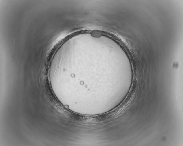 X0000093591263200711121116