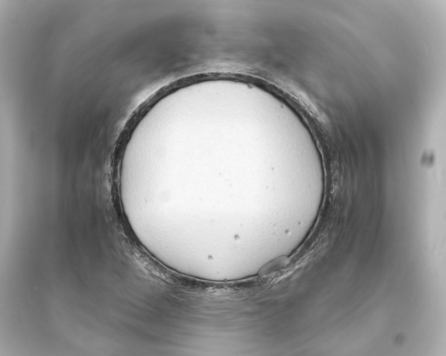 X0000093591264200711121116