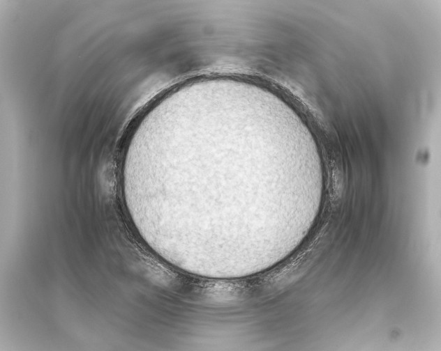 X0000093591266200711121116