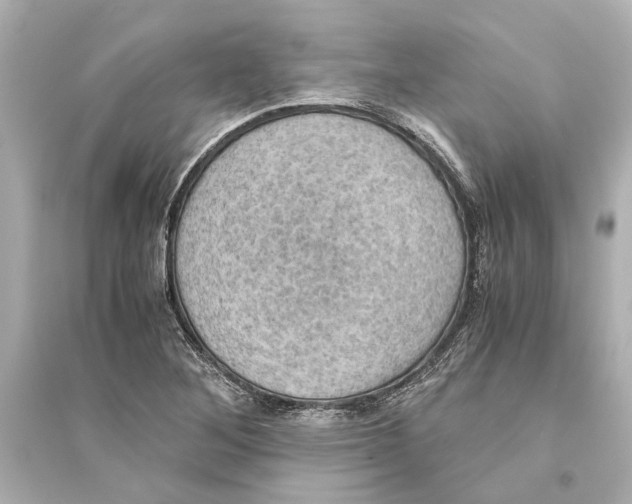 X0000093591268200711121116