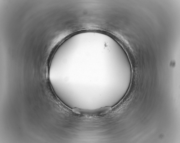 X0000093591269200711121116