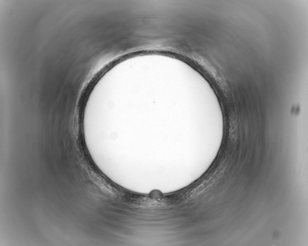 X0000093591270200711121116
