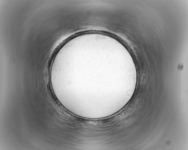 X0000093591271200711121116