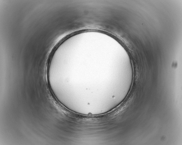 X0000093591272200711121116