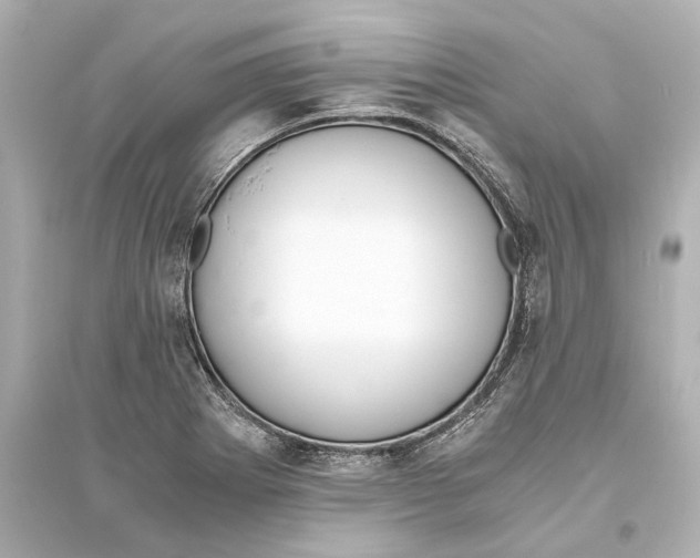 X0000093591273200711121116