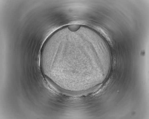 X0000093591276200711121116