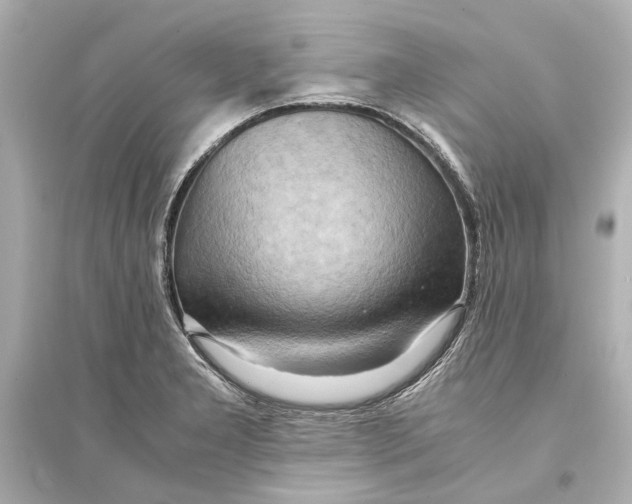 X0000093591277200711121116