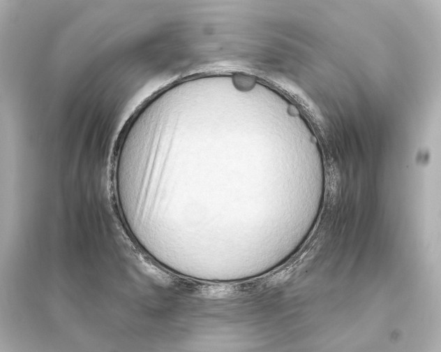 X0000093591278200711121116